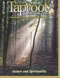 Vol 17(1) - Spr 2007.jpg